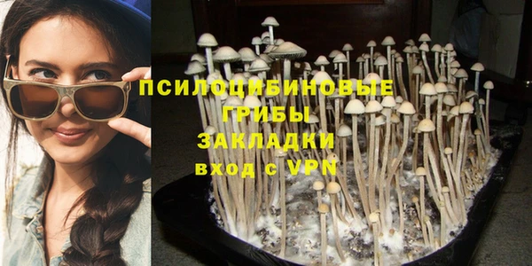 героин Бородино