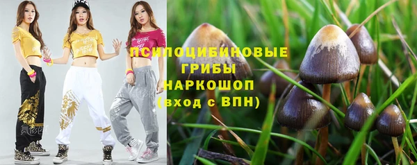 героин Бородино